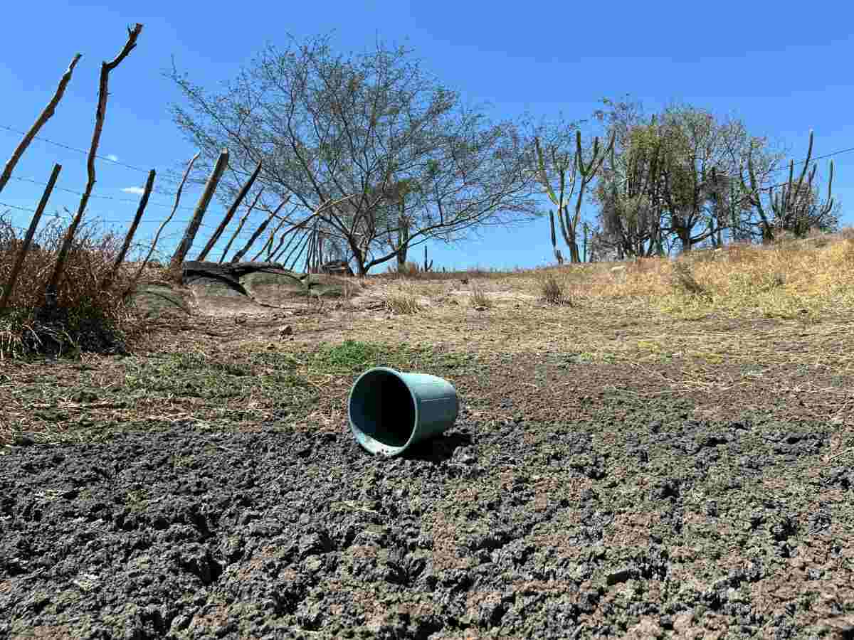 Seca na zona rural de Feira de Santana_ foto Kaio Vinicius Acorda Cidade
