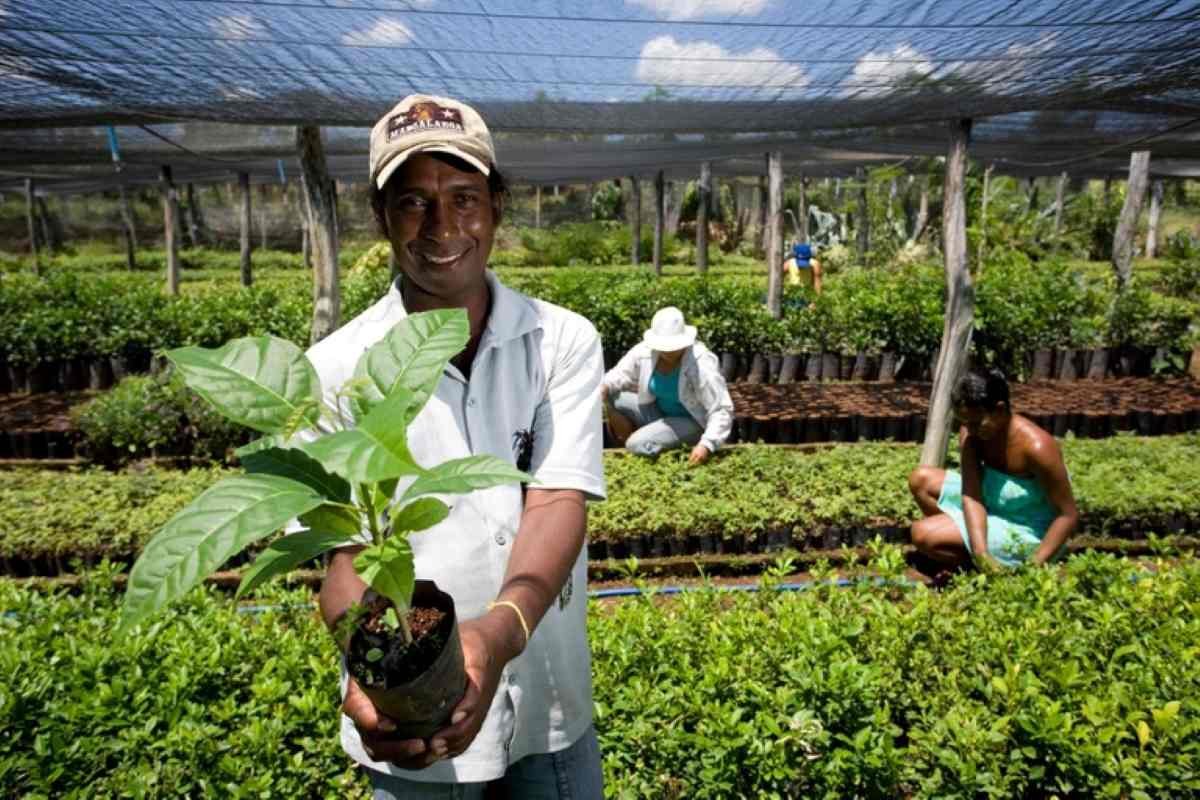 agricultura familiar