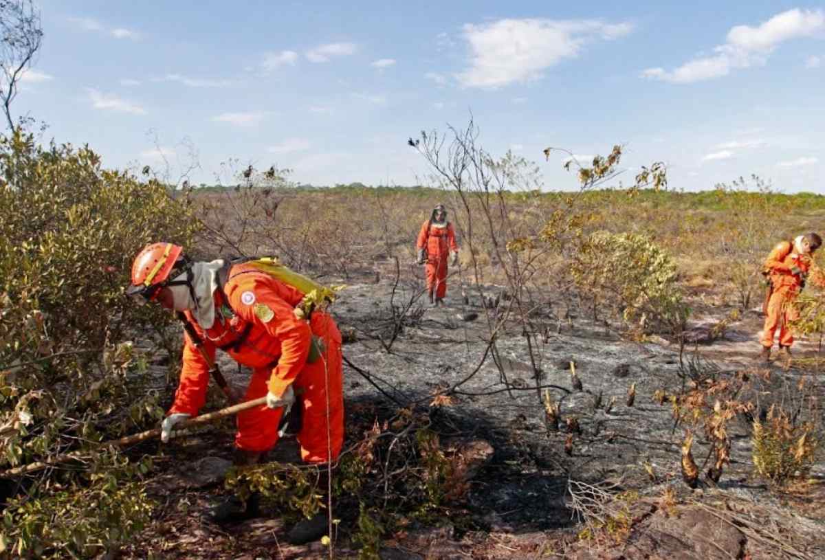 bombeiros apagando chamas