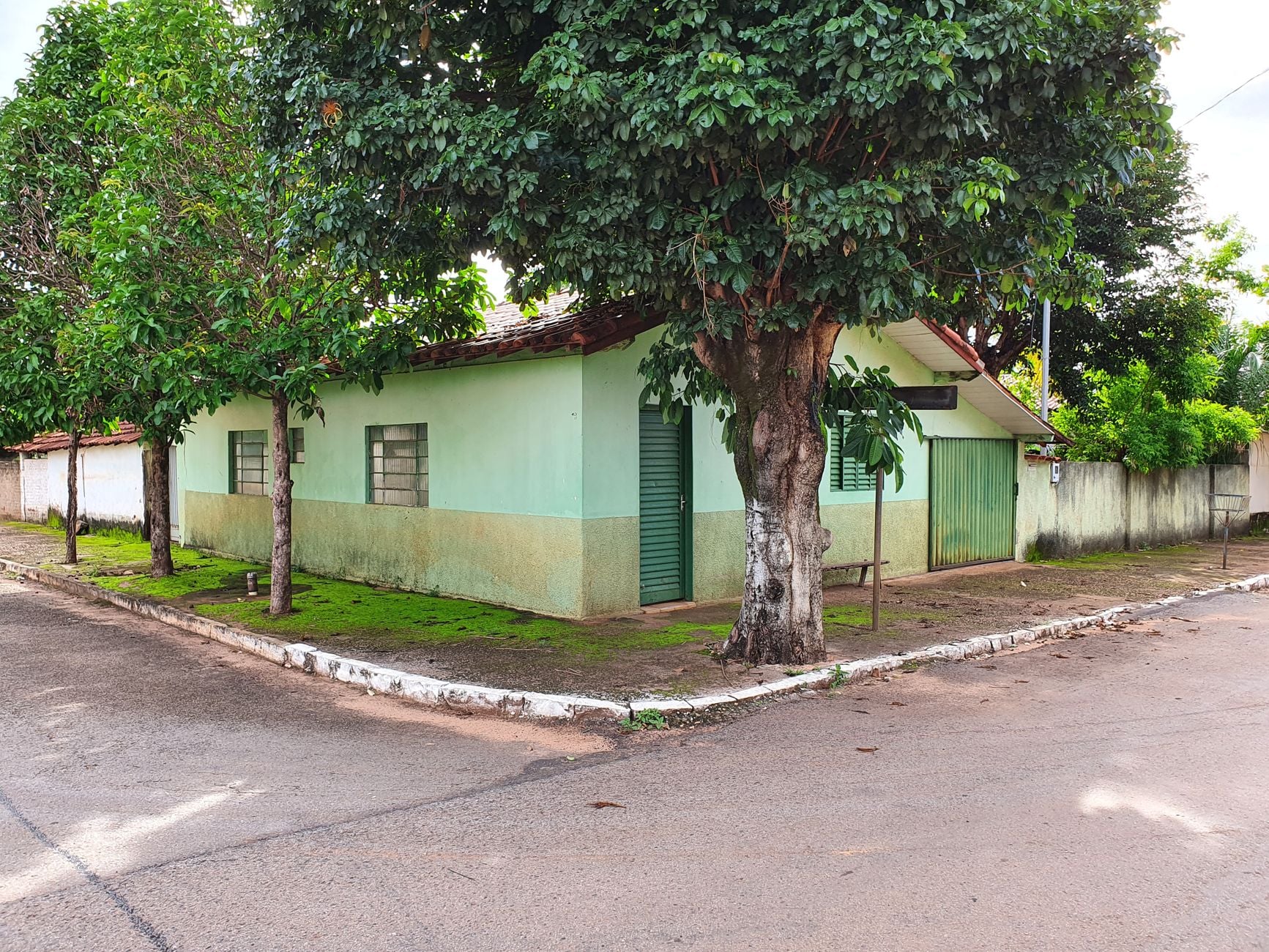 Galhos do vizinho podem ser cortados?