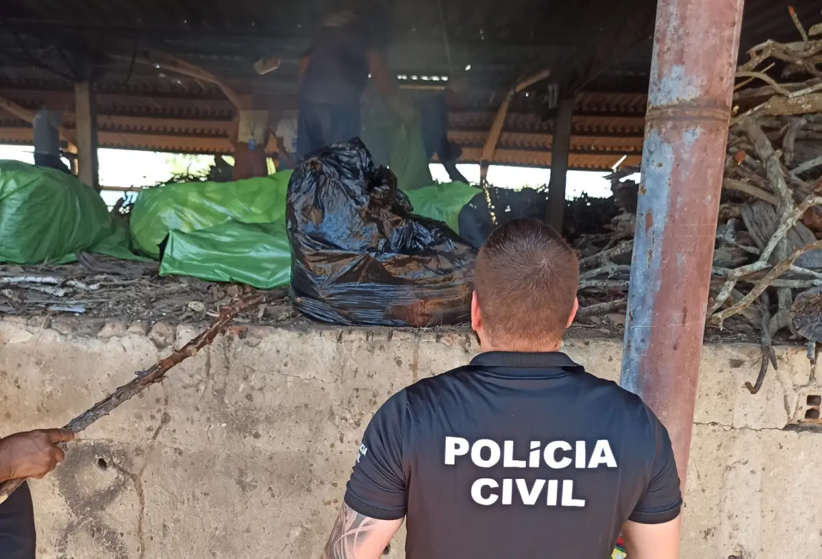 Polícia incinera mais de 100 kg de drogas apreendidas em Serrinha