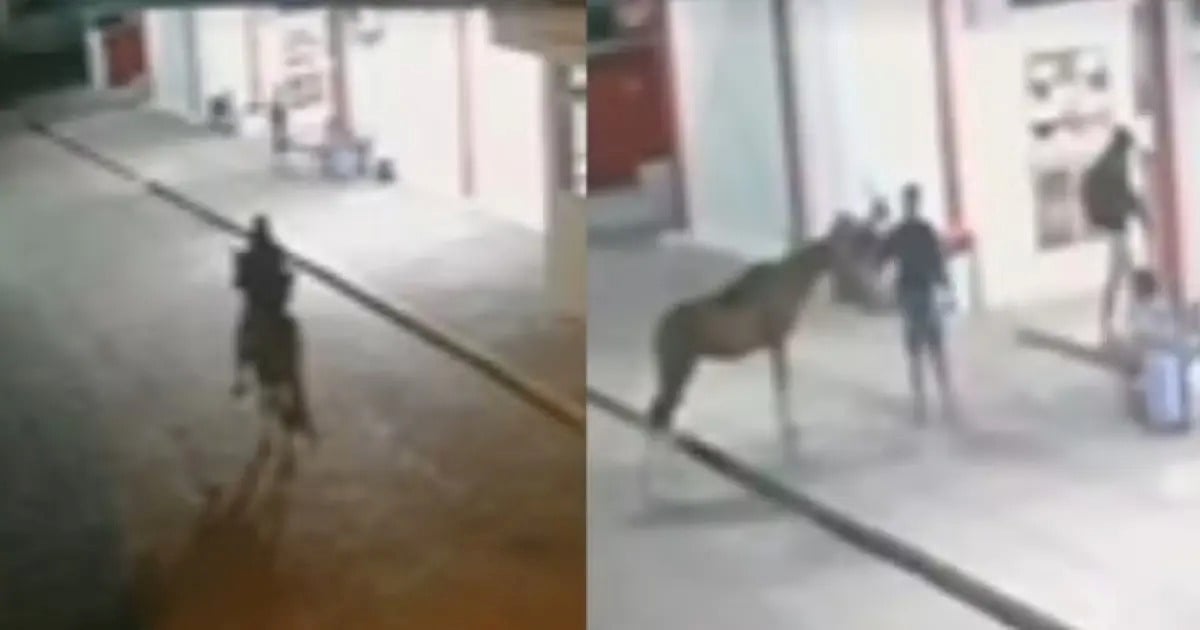 Assalto a cavalo: homem rouba lanchonete e pessoa que o ajudou em Ipirá