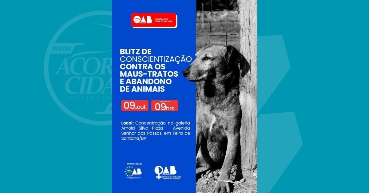 OAB Feira leva combate aos maus-tratos contra animais para as ruas nesta sexta-feira (9)