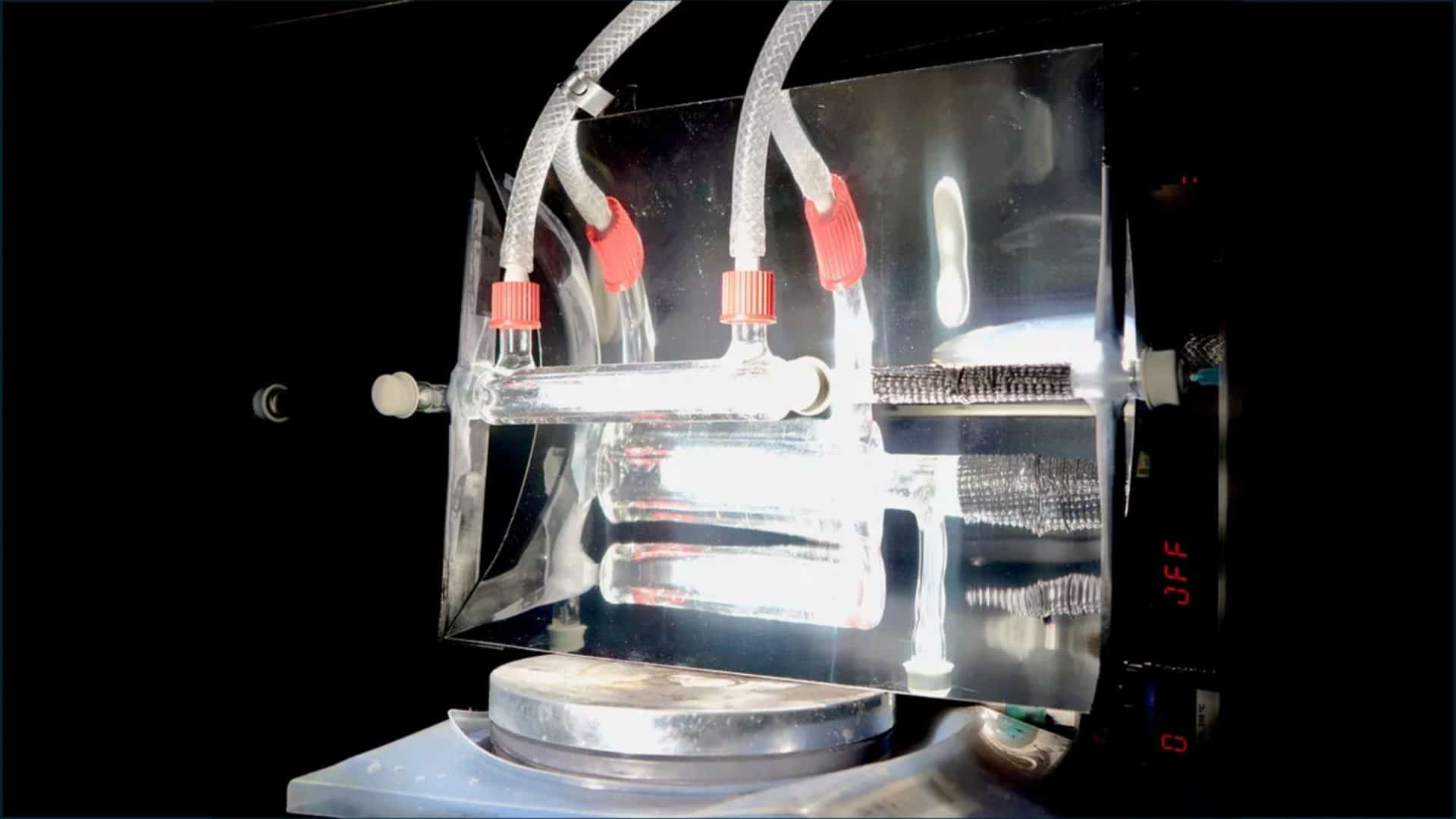 Equipamento inspirado em plantas pode produzir combustível limpo sem baterias convencionais