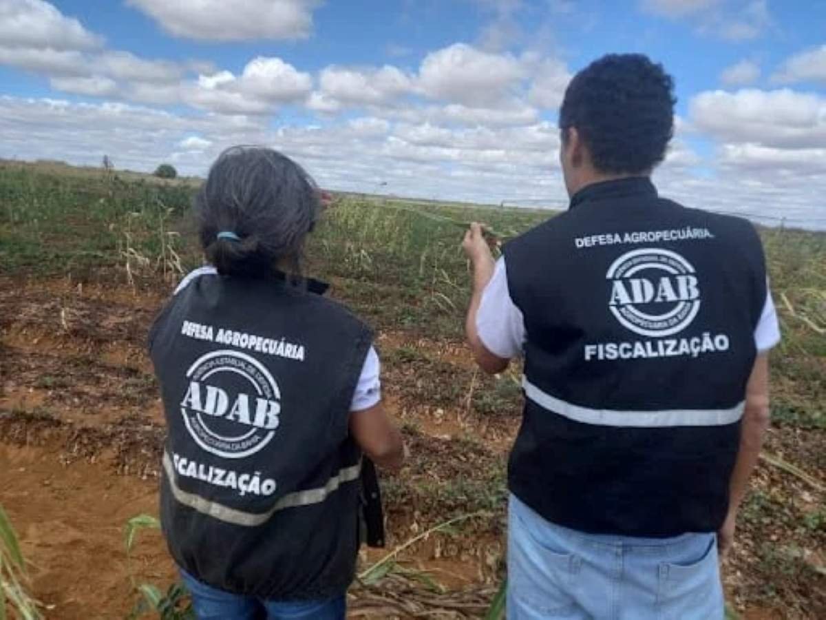 Técnicos da Adab