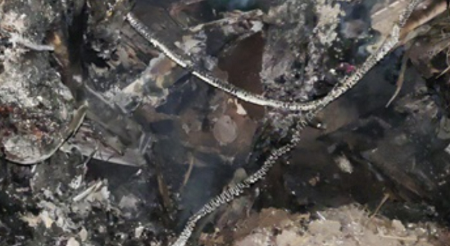 Carreta-pega-fogo-LEM-Blog-do-Braga-640x350-1