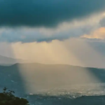 Foto-Pexels