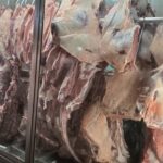 carne_centrodeabastecimento_pj_acordacidade-2