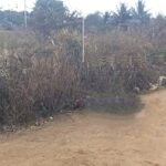 conceicao-do-jacuipe-lugar-de-desova
