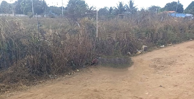 conceicao-do-jacuipe-lugar-de-desova
