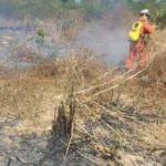 incendios-bahia-640x350-1