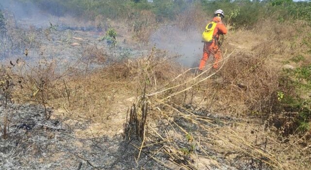 incendios-bahia-640x350-1