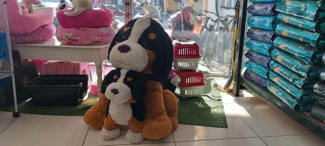 maisracoes_pj_acordacidade-7