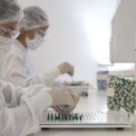 farmacia-divulgacao