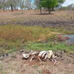 seca-na-zona-rural-de-feira-de-santana-ft-STR1