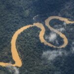 Floresta-Amazonica-ft-Fernando-Frazao-ag-brasil
