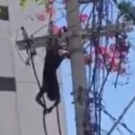 Homem-fica-preso-em-cabo-de-alta-tensao-no-bairro-do-Candeal-em-Salvador-Foto-Redes-Sociais