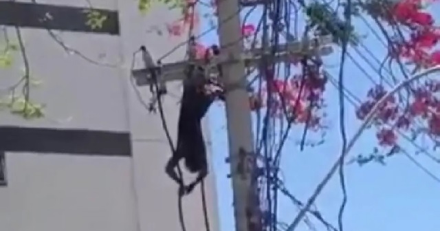 Homem-fica-preso-em-cabo-de-alta-tensao-no-bairro-do-Candeal-em-Salvador-Foto-Redes-Sociais