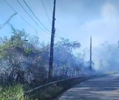 Incendio-Reconcavo-Foto-Diario-da-Noticia