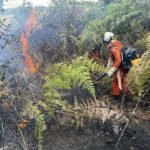 Incendio-florestal-Corpo-de-Bombeiros-da-Bahia