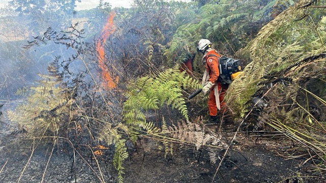Incendio-florestal-Corpo-de-Bombeiros-da-Bahia