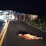 Motorista-de-onibus-morre-em-acidente-na-BA-522-proximo-a-Sao-Francisco-do-Conde-Foto-Redes-Sociais.jpg2_