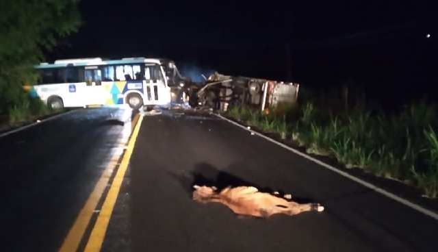 Motorista-de-onibus-morre-em-acidente-na-BA-522-proximo-a-Sao-Francisco-do-Conde-Foto-Redes-Sociais.jpg2_