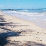 Praia-de-Itacimirim-foto-Daniela-Gerbas-SeturBA