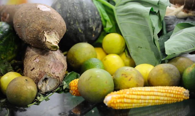 alimentovegeral_fernandofrazao_agbrasil