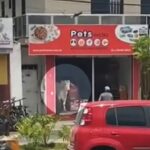 boi-invade-petshop-em-Amargosa
