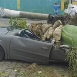 carrodestruido_blogdovalente
