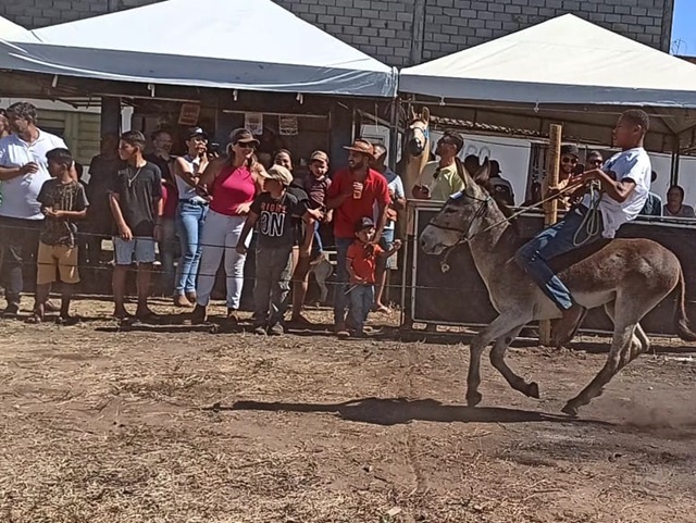 corrida-de-jegue-Foto-Paulo-Silva