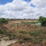 lagoa-de-berreca-2-foto-reporter-ney-silva-acorda-cidade