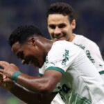 palmeiras-foto-reproducao-x