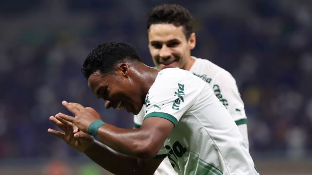 palmeiras-foto-reproducao-x
