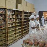 panetones-do-dispensario-santana-foto-ed-santos-acorda-cidade-10-640x350-1