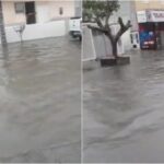 parque-ipe-1024x664-1