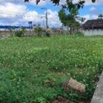 CSU-Abandono-Foto-Reporter-Ed-Santos-Acorda-Cidade-300x169-1