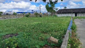 CSU-Abandono-Foto-Reporter-Ed-Santos-Acorda-Cidade-300x169-1