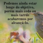 Copia-de-Mensagem-do-dia-3-480x310-1