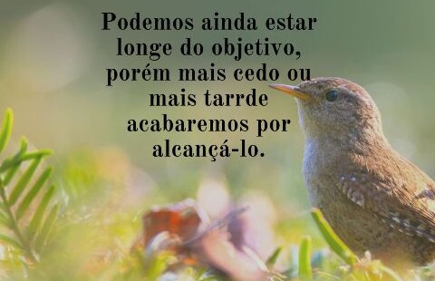 Copia-de-Mensagem-do-dia-3-480x310-1