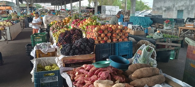 Feirinha-da-estacao-nova-paulo-jose-acorda-cidade1