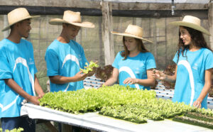 Fundacao-Bradesco_Divulgacao-curso-de-agropecuaria-300x186-1