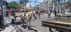 Manifestacao-de-carroceiros-Foto-Paulo-Jose-Acorda-Cidade.jpg2_-300x135-1
