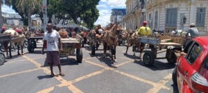 Manifestacao-de-carroceiros-Foto-Paulo-Jose-Acorda-Cidade.jpg5_-300x135-1