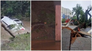 Mortes-foram-registradas-em-Juquitiba-e-Sao-Bernardo-do-Campo-Foto-Arquivo-Pessoal-TV-Globo-300x169-1