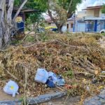 Praca-na-Cidade-Nova-Ruas-d-e-E-poda-falta-de-limpeza-ft-ed-santos-acorda-cidade2