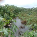 canal-obra-do-prato-raso-foto-enviada-pelo-WhatsApp-do-Acorda-Cidade-300x225-1