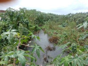 canal-obra-do-prato-raso-foto-enviada-pelo-WhatsApp-do-Acorda-Cidade-300x225-1