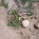 cranio_santoestevao-300x169-1